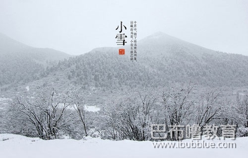 小雪鹅毛片片飞